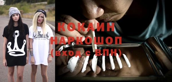 дживик Верхний Тагил