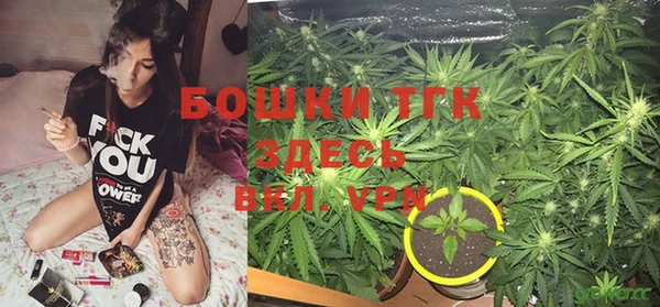 дживик Верхний Тагил