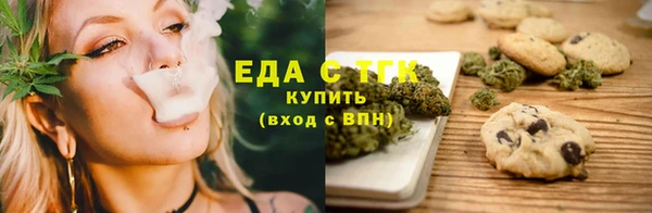 дживик Верхний Тагил