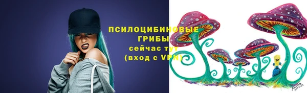 гидропоника Верея