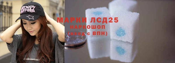 дживик Верхний Тагил