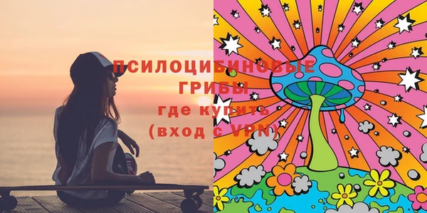 дживик Верхний Тагил