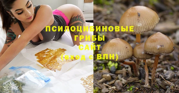 гидропоника Верея