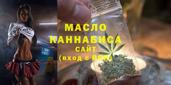 дживик Верхний Тагил