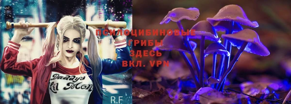 гидропоника Верея